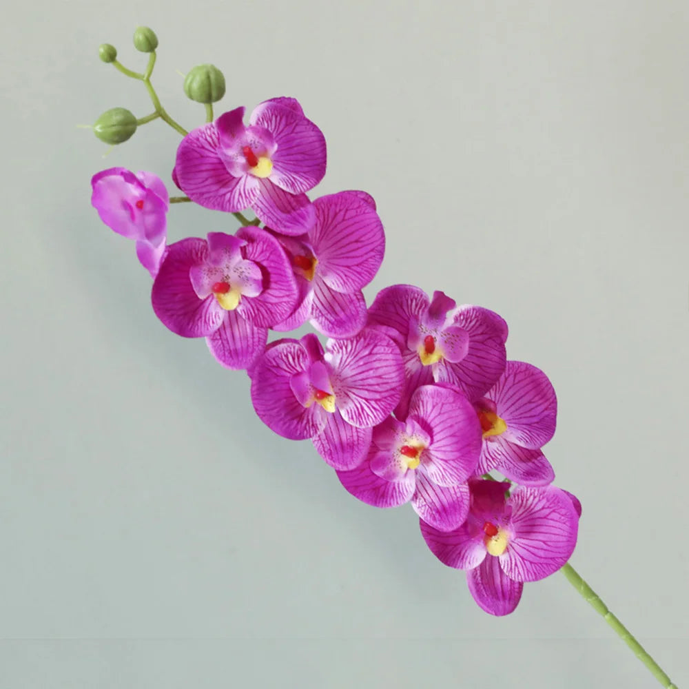 Exquisite 69cm Artificial Phalaenopsis Orchid Stems - Real Touch for Elegant Decor