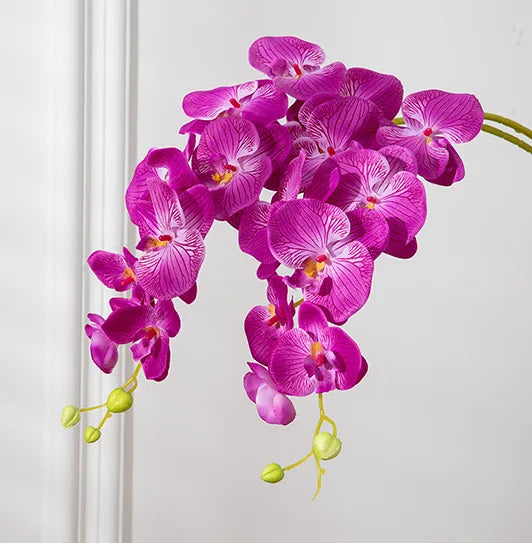 Exquisite 69cm Artificial Phalaenopsis Orchid Stems - Real Touch for Elegant Decor